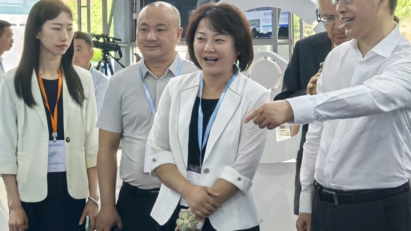 家用车机油如何选？揭秘性价比高的秘密